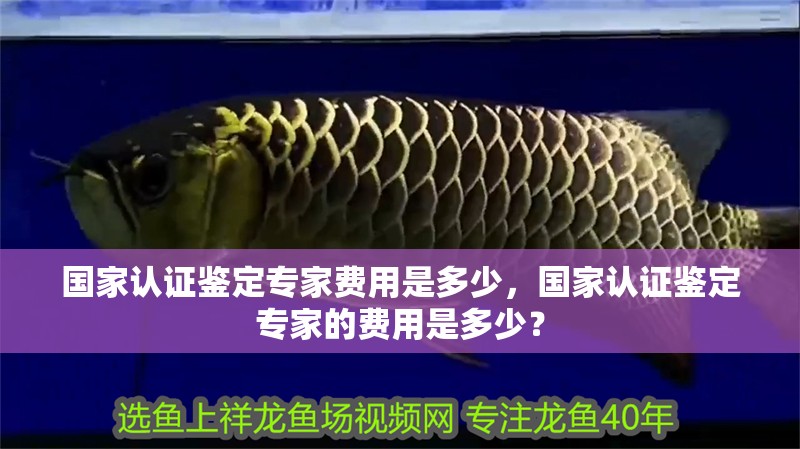 國家認證鑒定專家費用是多少，國家認證鑒定專家的費用是多少？