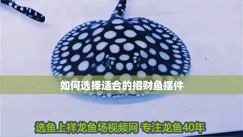 如何選擇適合的招財魚擺件