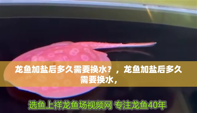 龍魚加鹽后多久需要換水？，龍魚加鹽后多久需要換水，