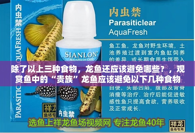 除了以上三種食物，龍魚還應該避免哪些？，觀賞魚中的“貴族”龍魚應該避免以下幾種食物，龍魚應該避免