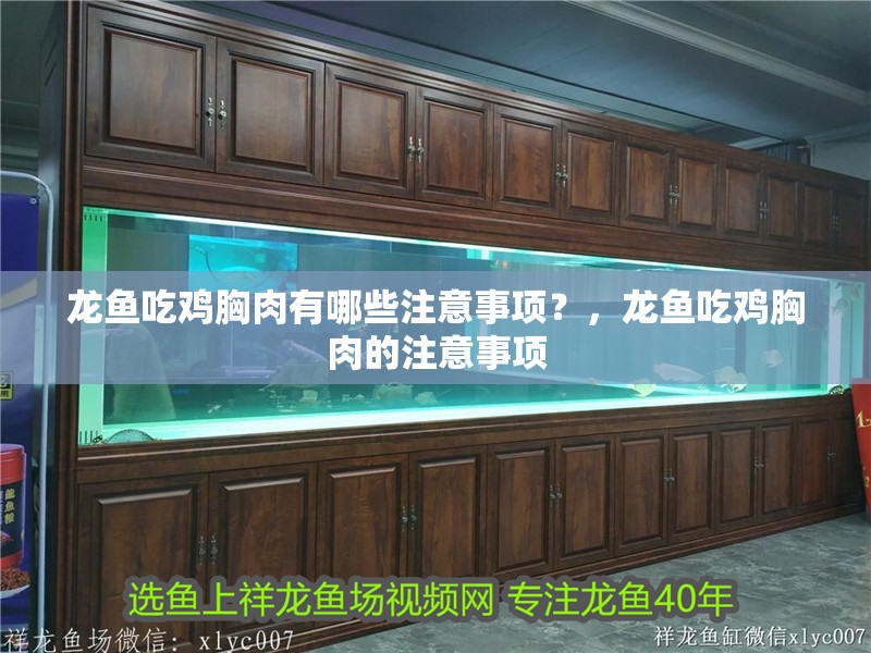 龍魚吃雞胸肉有哪些注意事項？，龍魚吃雞胸肉的注意事項