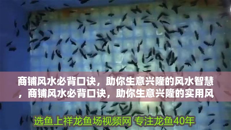 商鋪風(fēng)水必背口訣，助你生意興隆的風(fēng)水智慧，商鋪風(fēng)水必背口訣，助你生意興隆的實(shí)用風(fēng)水智慧