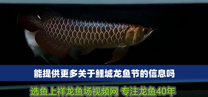 能提供更多關于鯉城龍魚節的信息嗎