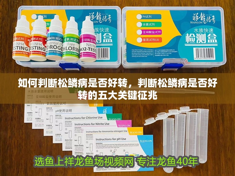 如何判斷松鱗病是否好轉(zhuǎn)，判斷松鱗病是否好轉(zhuǎn)的五大關(guān)鍵征兆