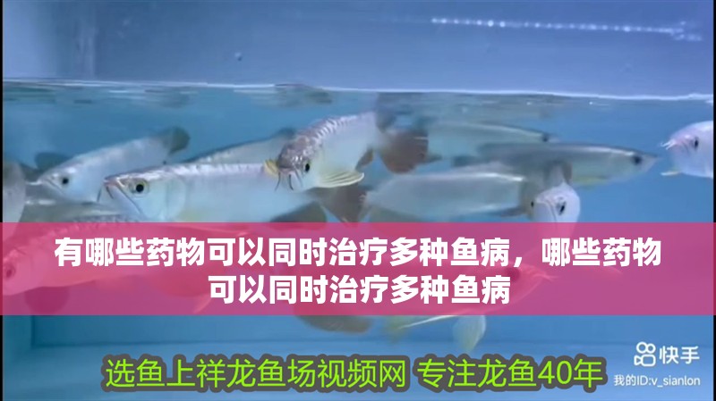 有哪些藥物可以同時治療多種魚病，哪些藥物可以同時治療多種魚病