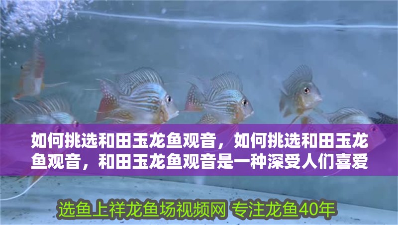 如何挑選和田玉龍魚觀音，如何挑選和田玉龍魚觀音，和田玉龍魚觀音是一種深受人們喜愛的佛教藝術品