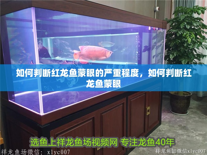 如何判斷紅龍魚蒙眼的嚴重程度，如何判斷紅龍魚蒙眼
