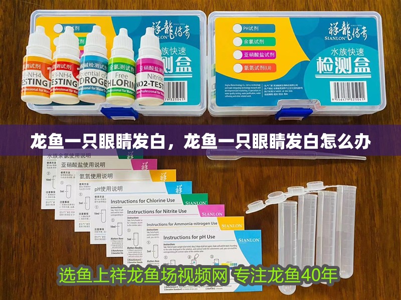 龍魚一只眼睛發白，龍魚一只眼睛發白怎么辦