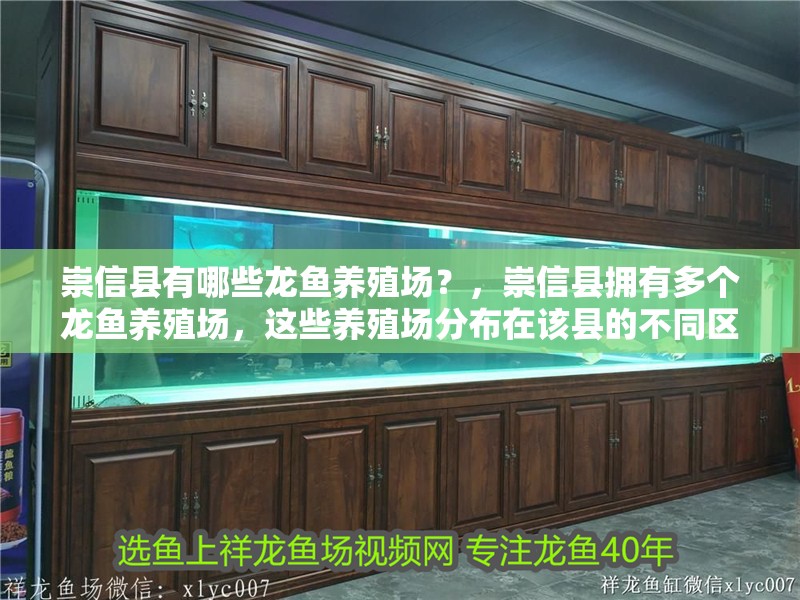 崇信縣有哪些龍魚養殖場？，崇信縣擁有多個龍魚養殖場，這些養殖場分布在該縣的不同區域