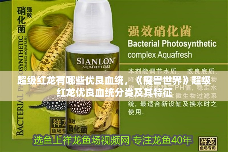超級紅龍有哪些優良血統，《魔獸世界》超級紅龍優良血統分類及其特征