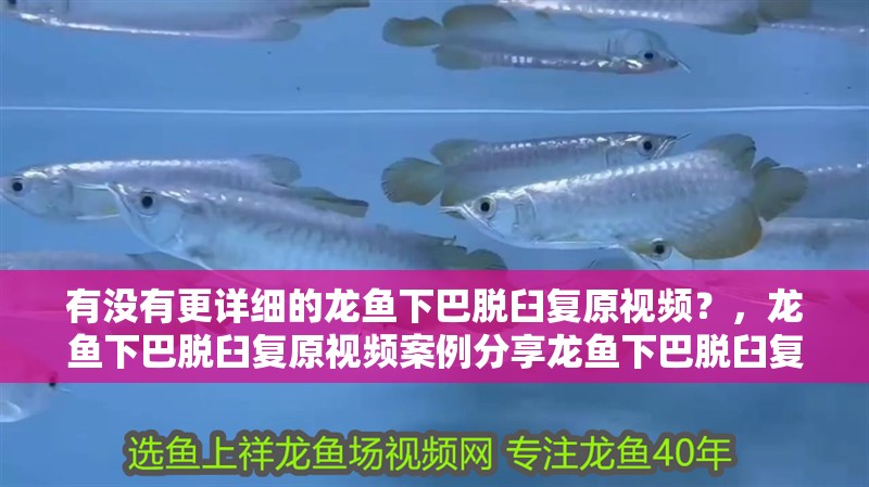 有沒有更詳細的龍魚下巴脫臼復原視頻？，龍魚下巴脫臼復原視頻案例分享龍魚下巴脫臼復原視頻