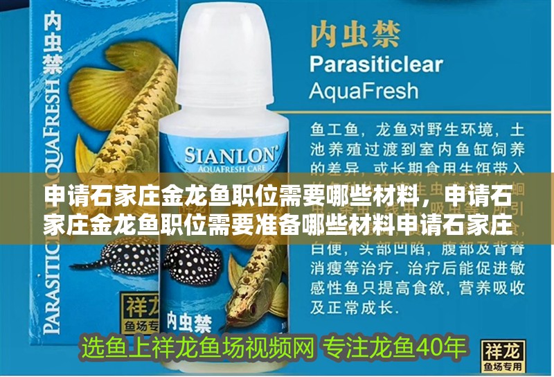 申請石家莊金龍魚職位需要哪些材料，申請石家莊金龍魚職位需要準備哪些材料申請石家莊金龍魚職位