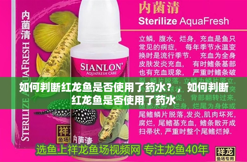 如何判斷紅龍魚是否使用了藥水？，如何判斷紅龍魚是否使用了藥水
