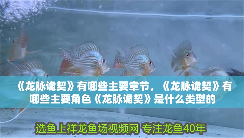 《龍脈詭契》有哪些主要章節，《龍脈詭契》有哪些主要角色《龍脈詭契》是什么類型的