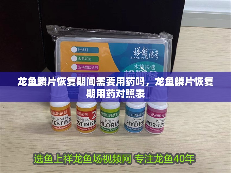 龍魚鱗片恢復期間需要用藥嗎，龍魚鱗片恢復期用藥對照表