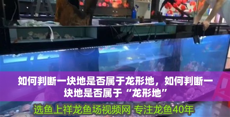 如何判斷一塊地是否屬于龍形地,如何判斷一塊地是否屬于“龍形地”