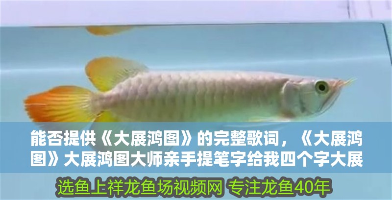 能否提供《大展鴻圖》的完整歌詞，《大展鴻圖》大展鴻圖大師親手提筆字給我四個(gè)字大展鴻圖