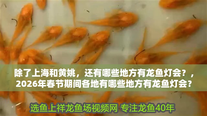 除了上海和黃姚，還有哪些地方有龍魚燈會？，2026年春節期間各地有哪些地方有龍魚燈會？