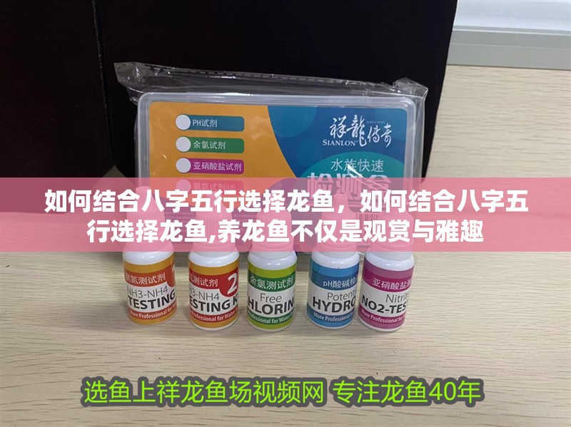 如何結合八字五行選擇龍魚，如何結合八字五行選擇龍魚,養龍魚不僅是觀賞與雅趣