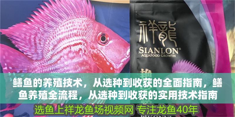 鱔魚的養殖技術，從選種到收獲的全面指南，鱔魚養殖全流程，從選種到收獲的實用技術指南