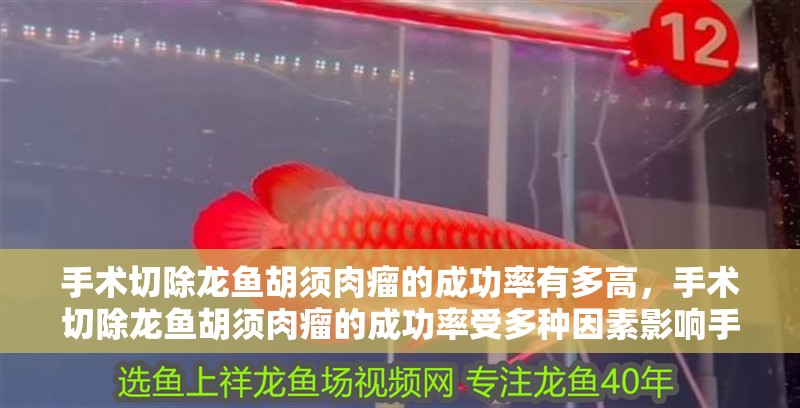 手術切除龍魚胡須肉瘤的成功率有多高，手術切除龍魚胡須肉瘤的成功率受多種因素影響手術成功率受多種因素影響