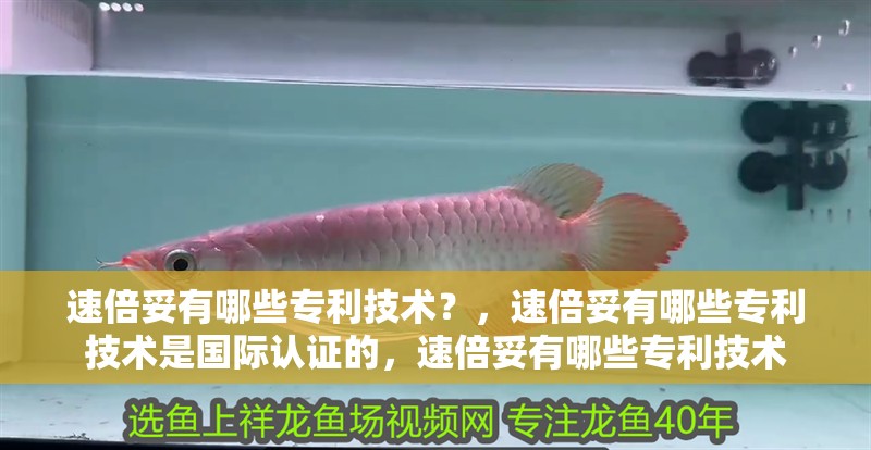 速倍妥有哪些專利技術？，速倍妥有哪些專利技術是國際認證的，速倍妥有哪些專利技術