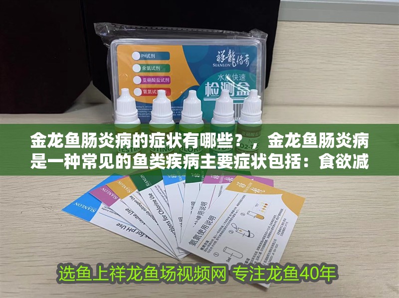 金龍魚腸炎病的癥狀有哪些？，金龍魚腸炎病是一種常見的魚類疾病主要癥狀包括：食欲減退