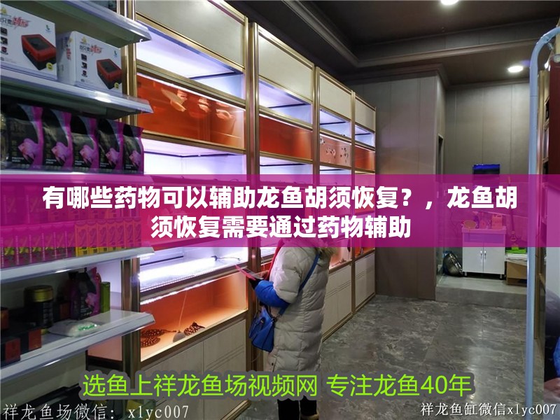 有哪些藥物可以輔助龍魚胡須恢復(fù)？，龍魚胡須恢復(fù)需要通過藥物輔助
