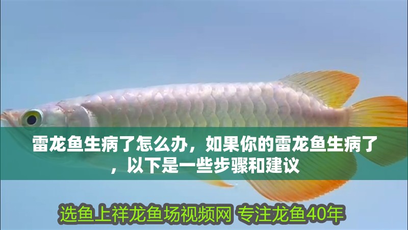 雷龍魚生病了怎么辦，如果你的雷龍魚生病了，以下是一些步驟和建議