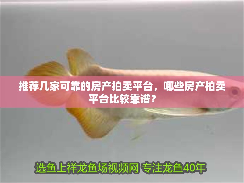 推薦幾家可靠的房產拍賣平臺，哪些房產拍賣平臺比較靠譜？