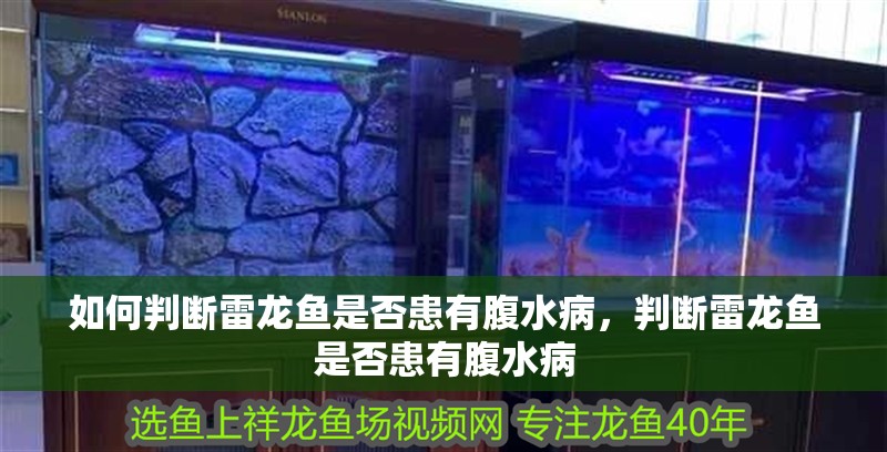 如何判斷雷龍魚是否患有腹水病，判斷雷龍魚是否患有腹水病