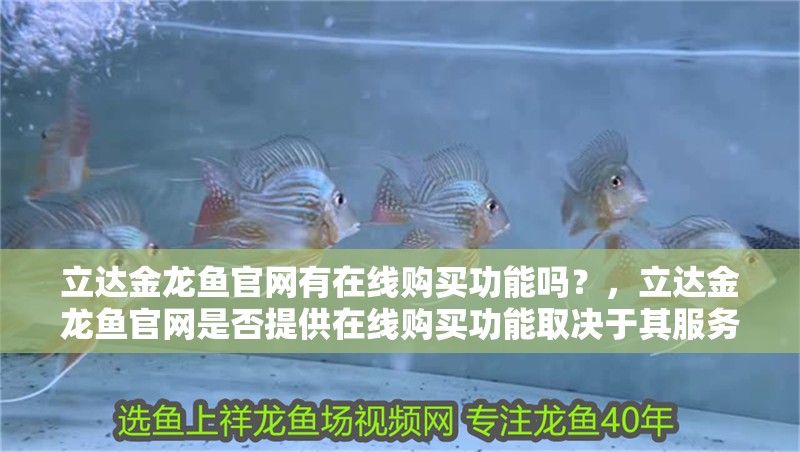 立達金龍魚官網有在線購買功能嗎？，立達金龍魚官網是否提供在線購買功能取決于其服務