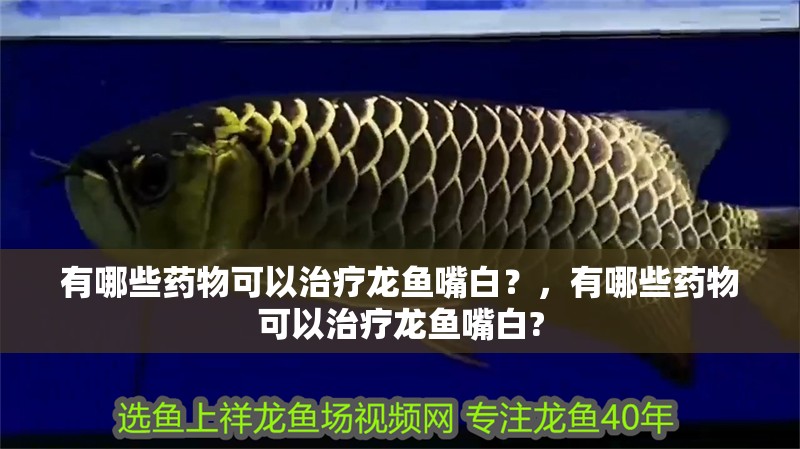 有哪些藥物可以治療龍魚嘴白？，有哪些藥物可以治療龍魚嘴白?