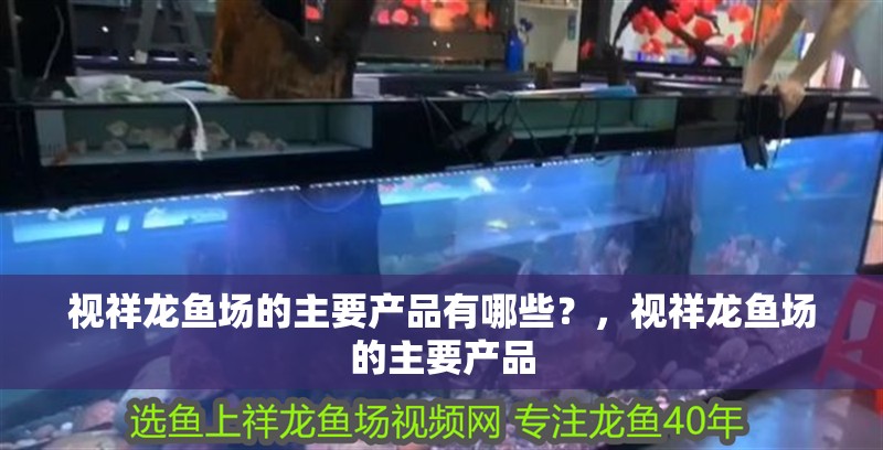 視祥龍魚場的主要產品有哪些？，視祥龍魚場的主要產品