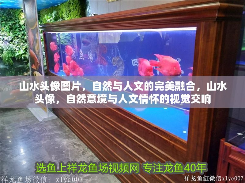 山水頭像圖片，自然與人文的完美融合，山水頭像，自然意境與人文情懷的視覺交響