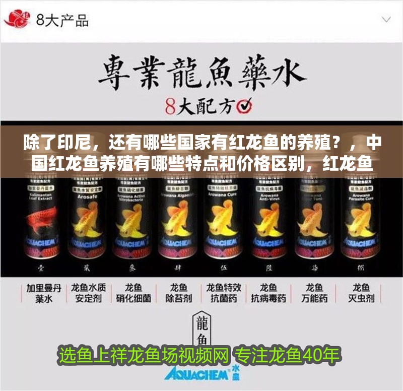 除了印尼，還有哪些國家有紅龍魚的養殖？，中國紅龍魚養殖有哪些特點和價格區別，紅龍魚養殖有哪些特點