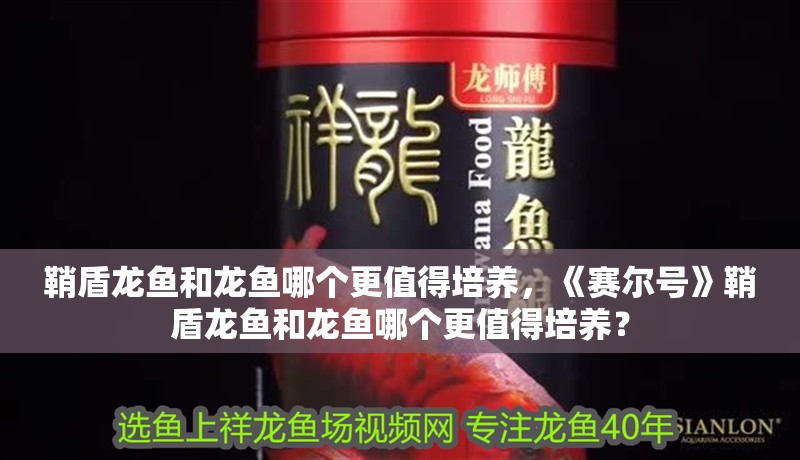 鞘盾龍魚和龍魚哪個(gè)更值得培養(yǎng)，《賽爾號(hào)》鞘盾龍魚和龍魚哪個(gè)更值得培養(yǎng)？