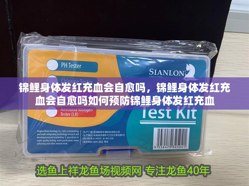 錦鯉身體發紅充血會自愈嗎,錦鯉身體發紅充血會自愈嗎如何預防錦鯉身體發紅充血