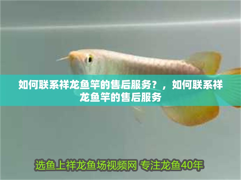 如何聯系祥龍魚竿的售后服務？，如何聯系祥龍魚竿的售后服務
