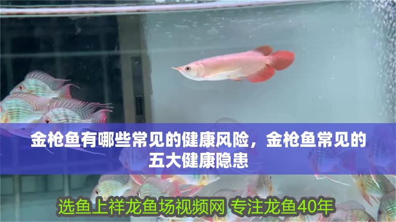 金槍魚有哪些常見的健康風險，金槍魚常見的五大健康隱患