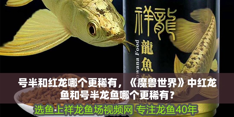 號半和紅龍哪個更稀有，《魔獸世界》中紅龍魚和號半龍魚哪個更稀有？