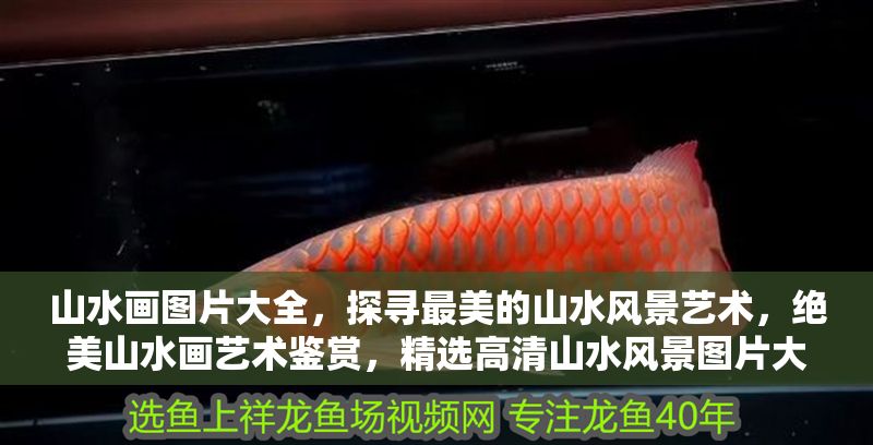 山水畫圖片大全，探尋最美的山水風景藝術，絕美山水畫藝術鑒賞，精選高清山水風景圖片大全
