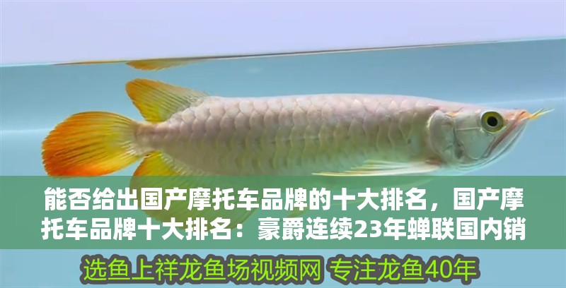能否給出國產摩托車品牌的十大排名，國產摩托車品牌十大排名：豪爵連續23年蟬聯國內銷量冠軍