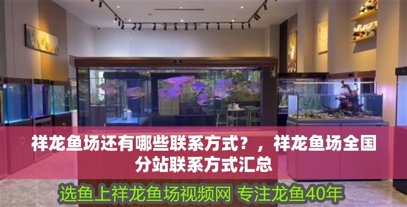 祥龍魚場還有哪些聯系方式？，祥龍魚場全國分站聯系方式匯總