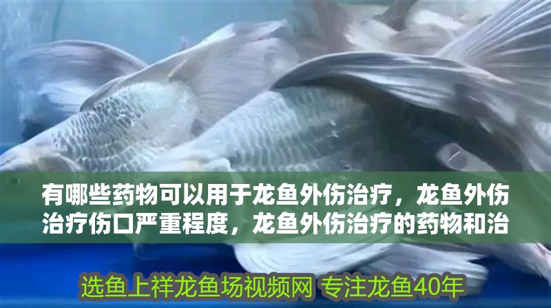 有哪些藥物可以用于龍魚外傷治療，龍魚外傷治療傷口嚴重程度，龍魚外傷治療的藥物和治療