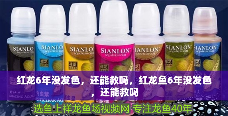 紅龍6年沒(méi)發(fā)色，還能救嗎，紅龍魚(yú)6年沒(méi)發(fā)色，還能救嗎