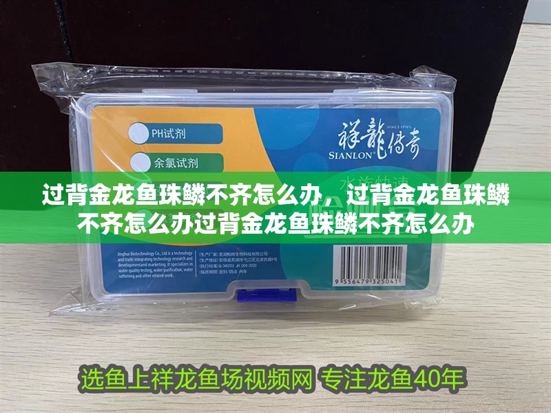 過背金龍魚珠鱗不齊怎么辦，過背金龍魚珠鱗不齊怎么辦過背金龍魚珠鱗不齊怎么辦