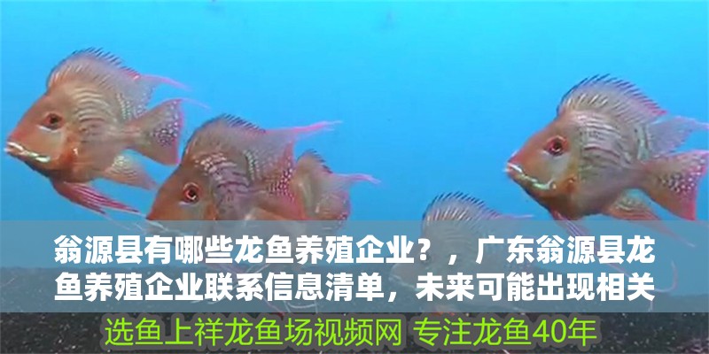 翁源縣有哪些龍魚養殖企業？，廣東翁源縣龍魚養殖企業聯系信息清單，未來可能出現相關嘗試
