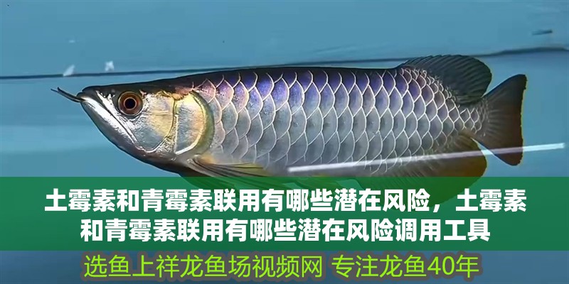 土霉素和青霉素聯(lián)用有哪些潛在風險，土霉素和青霉素聯(lián)用有哪些潛在風險調(diào)用工具