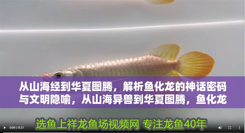 從山海經到華夏圖騰，解析魚化龍的神話密碼與文明隱喻，從山海異獸到華夏圖騰，魚化龍的神話密碼與文明隱喻探析